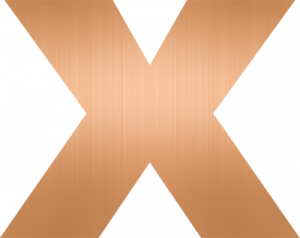 VIDI X